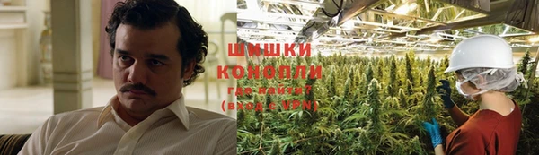 сатива Богданович