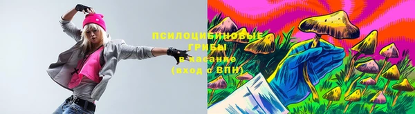 сатива Богданович
