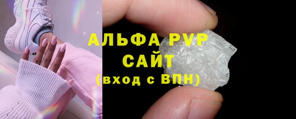 сатива Богданович