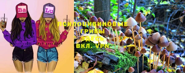 спиды Богородск