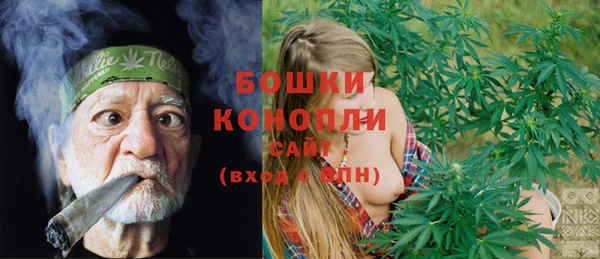 сатива Богданович
