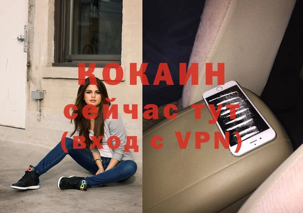 спиды Богородск