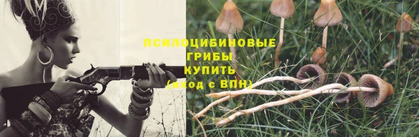 спиды Богородск