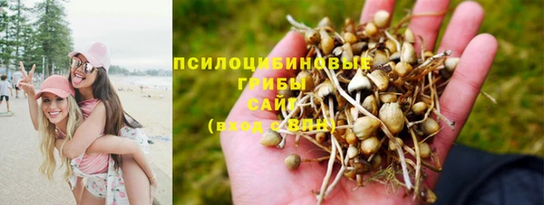 сатива Богданович