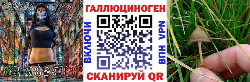 Купить  Мосальск  Псилоцибиновые грибы Magic Shrooms 